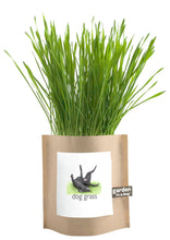 Garden in a Bag | Dog Grass | Pet Treat | Dog gift: Dog Grass