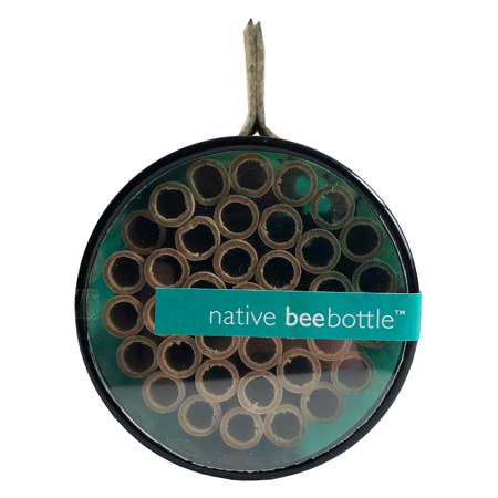 Native Bee Bottle | Spring | Pollinator Garden | Best Seller: Native Bee
