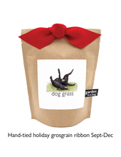 Garden in a Bag | Dog Grass | Pet Treat | Dog gift: Dog Grass