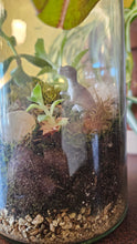 Terrariums | November 6th, 2026 | 3-5pm