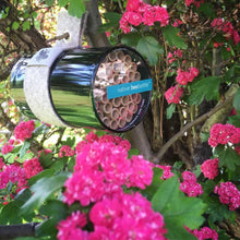 Native Bee Bottle | Spring | Pollinator Garden | Best Seller: Native Bee