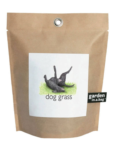 Garden in a Bag | Dog Grass | Pet Treat | Dog gift: Dog Grass