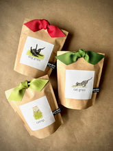 Garden in a Bag | Dog Grass | Pet Treat | Dog gift: Dog Grass