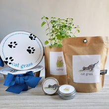 Garden in a Bag | Cat Grass | Pet Treat | Cat Gift