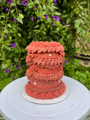 Mini Cake Decorating Workshop | February 6th | 12-2pm