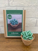Echeveria Succulent Beaded Craft Kit