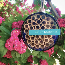 Native Bee Bottle | Spring | Pollinator Garden | Best Seller: Native Bee