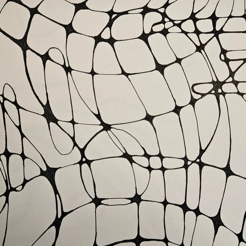 Neurographic Art Workshop | March 4th, 2026 | 6-8pm