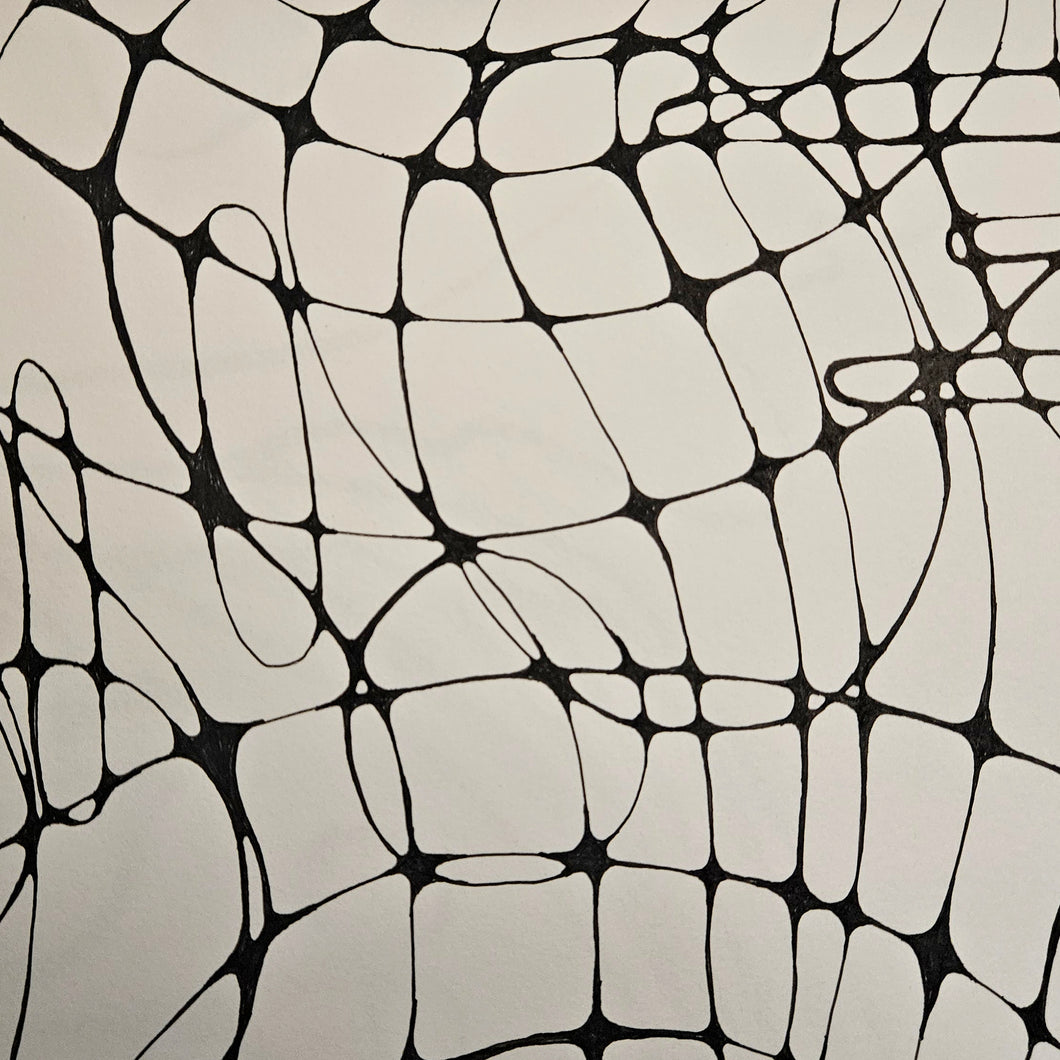 Neurographic Art Workshop | March 4th, 2026 | 6-8pm